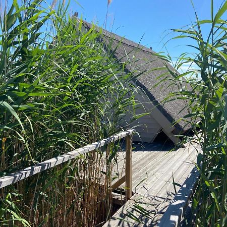 Seehuette Neusiedlersee - Waterfront 2 รุสท์ ภายนอก รูปภาพ